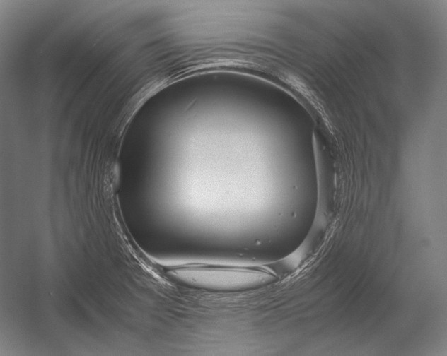 X0000052561377200507221424