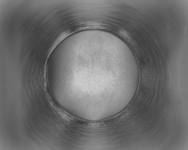 X0000052561378200507221424