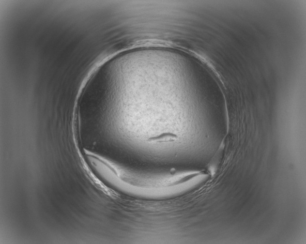 X0000052561379200507221424