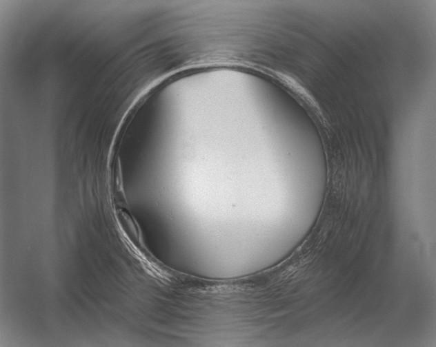 X0000052561380200507221424