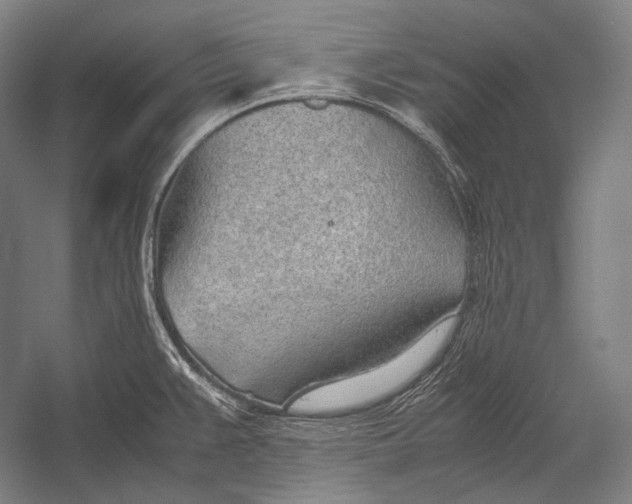 X0000052561383200507221424