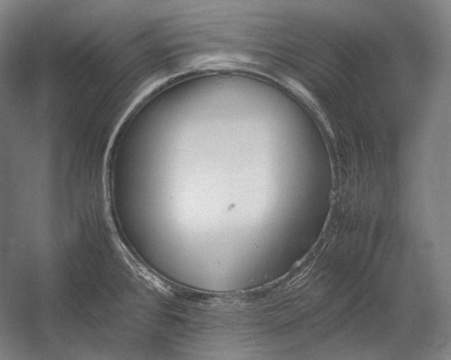 X0000052561384200507221424