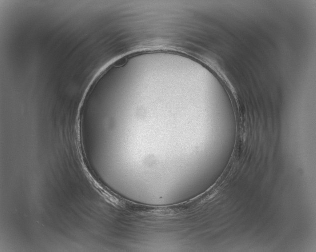 X0000052561388200507221424