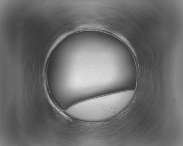 X0000052561389200507221424