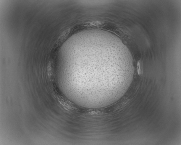 X0000052561395200507221423