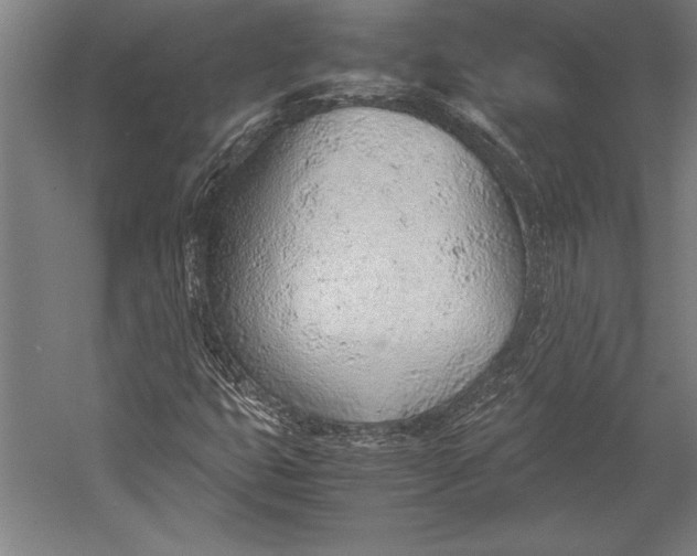 X0000052561399200507221423