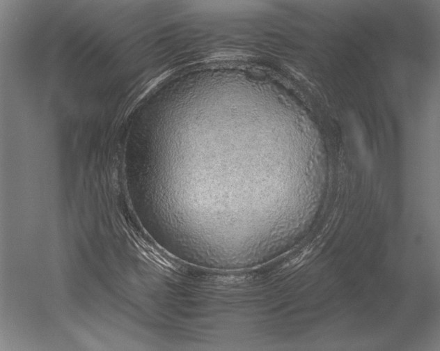 X0000052561401200507221423