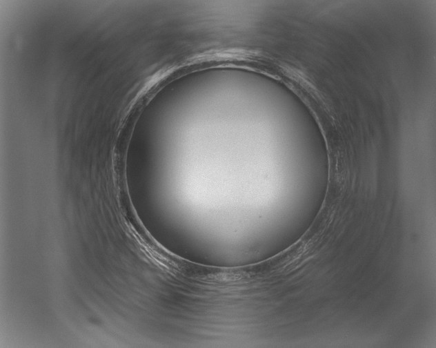 X0000052561404200507221423