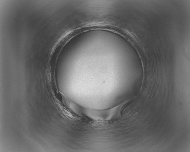 X0000052561406200507221423