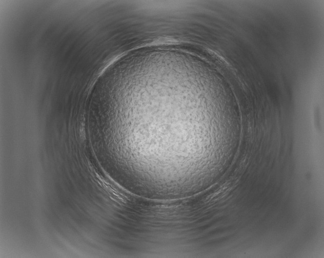 X0000052561409200507221424