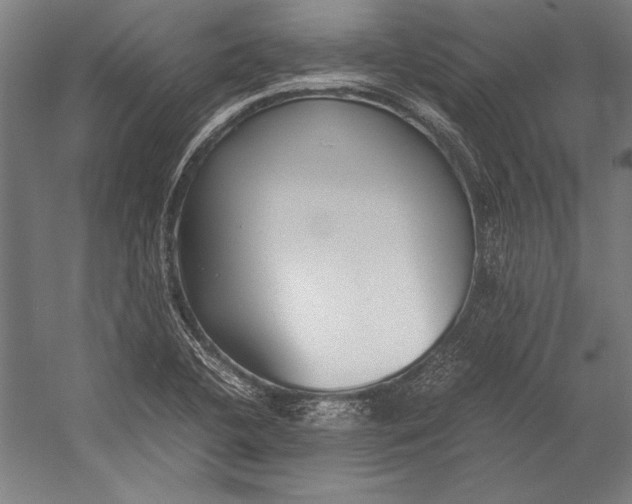 X0000052561412200507221424