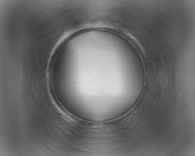 X0000052561416200507221424