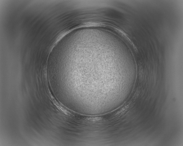 X0000052561417200507221424