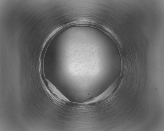 X0000052561418200507221424