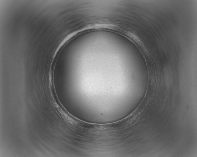 X0000052561420200507221424