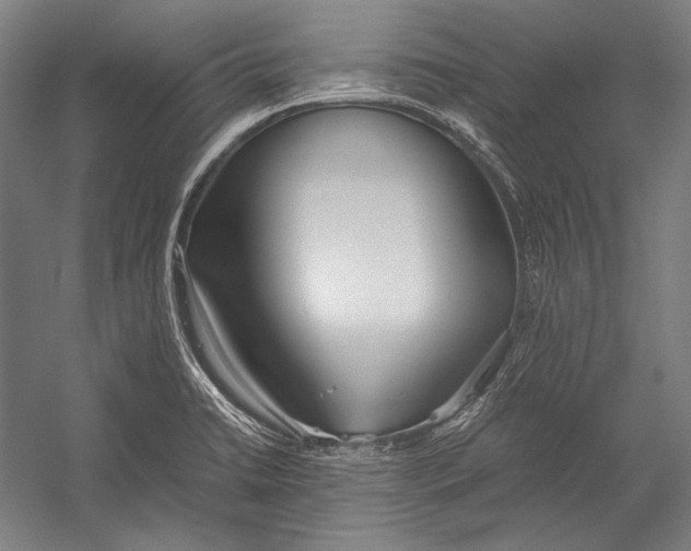 X0000052561422200507221424
