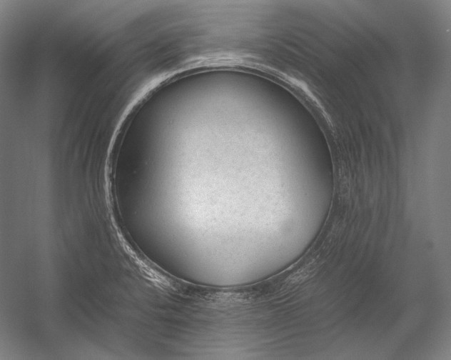 X0000052561424200507221424