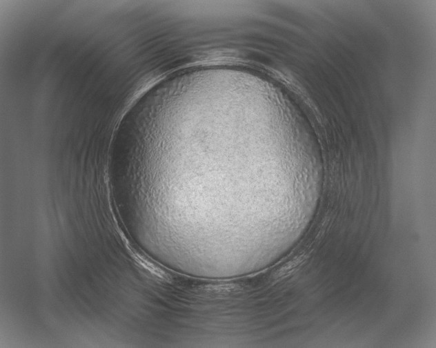 X0000052561425200507221424