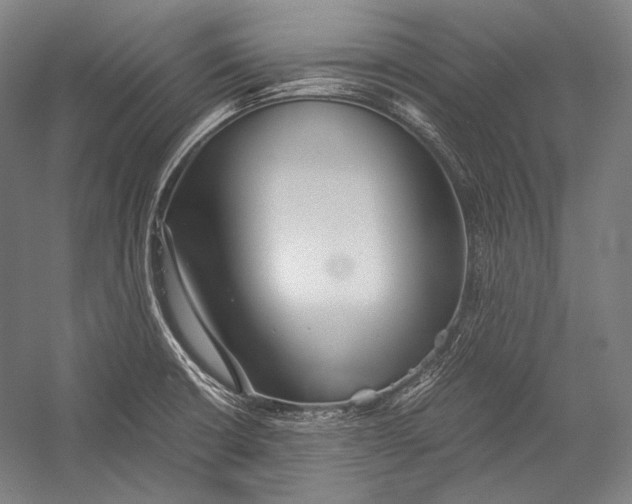 X0000052561426200507221424