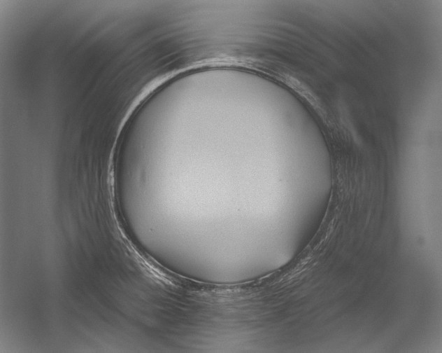 X0000052561428200507221424