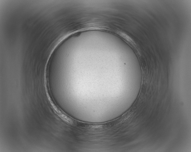 X0000052561431200507221424