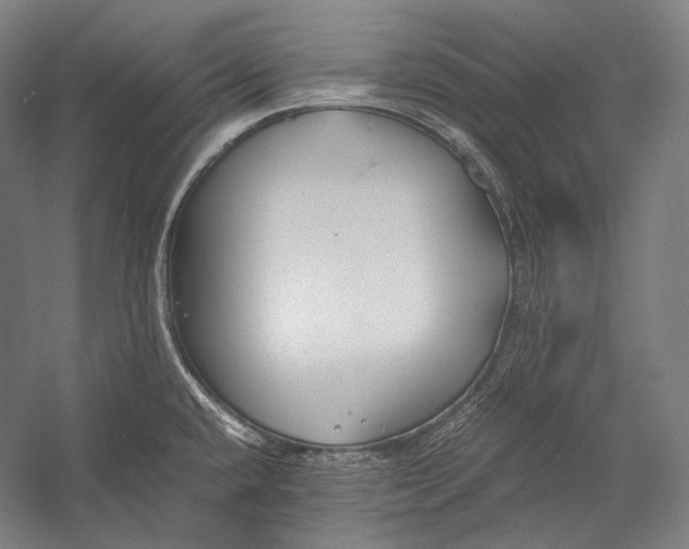 X0000052561432200507221424