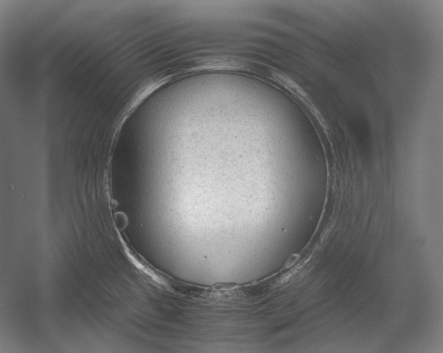 X0000052561433200507221424
