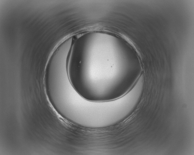 X0000052561434200507221424