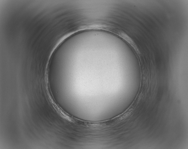 X0000052561436200507221424
