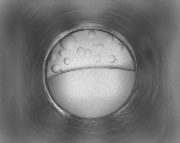 X0000052561437200507221424