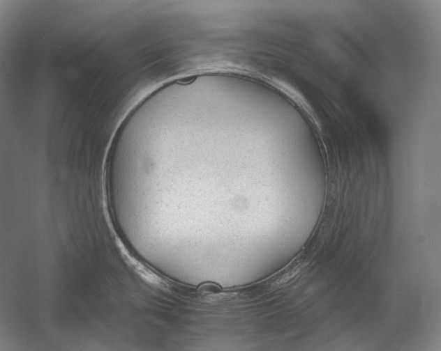 X0000052561439200507221424