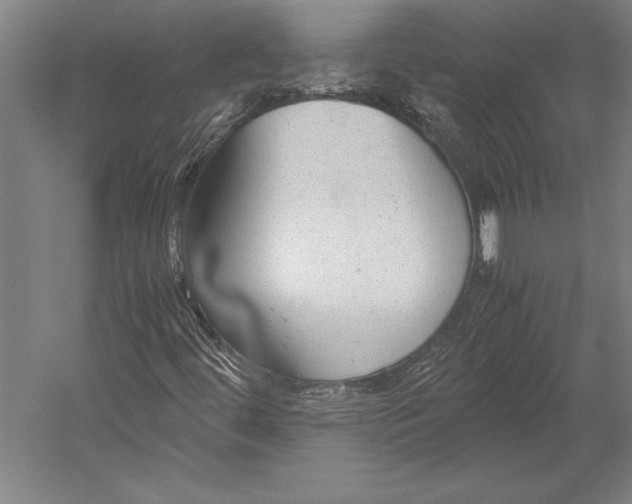X0000052561444200507221423