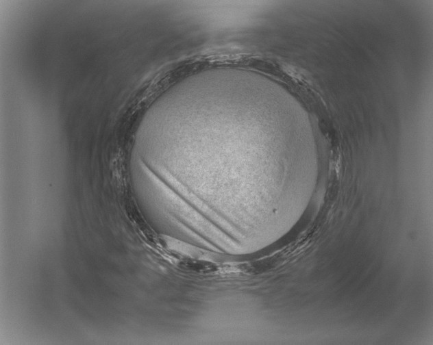 X0000052561445200507221423
