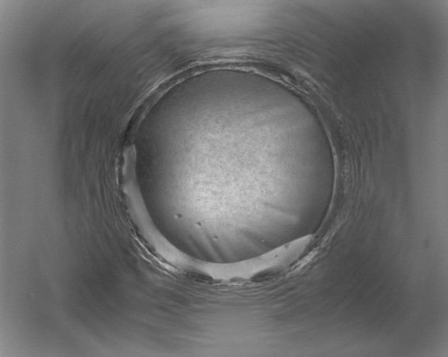 X0000052561449200507221423
