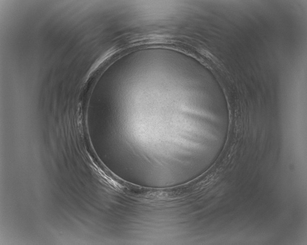 X0000052561450200507221423