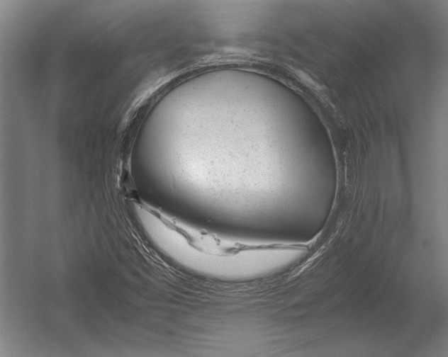 X0000052561453200507221423