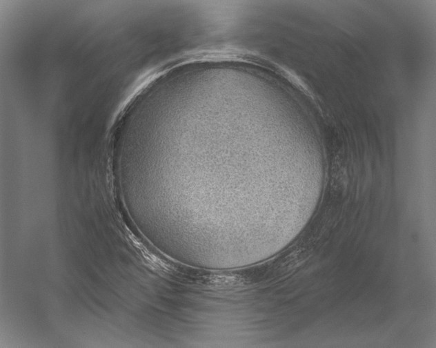 X0000052561456200507221423