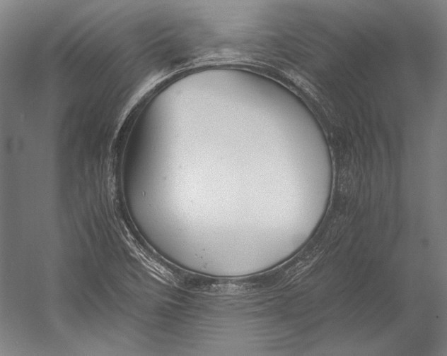 X0000052561458200507221423