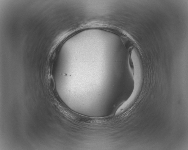 X0000052561461200507221423