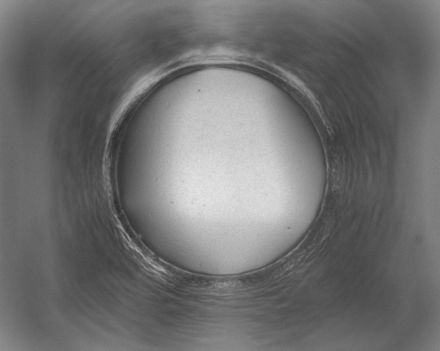 X0000052561464200507221423