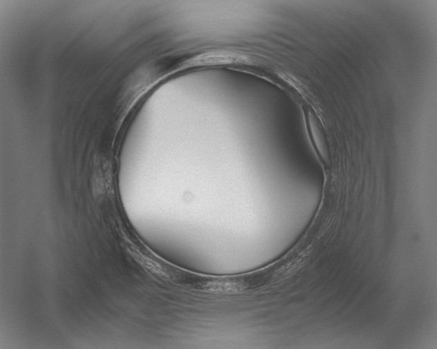 X0000052561465200507221423
