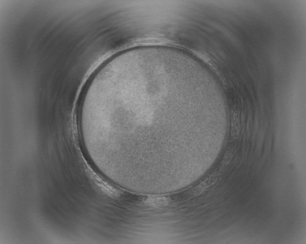 X0000052561466200507221423