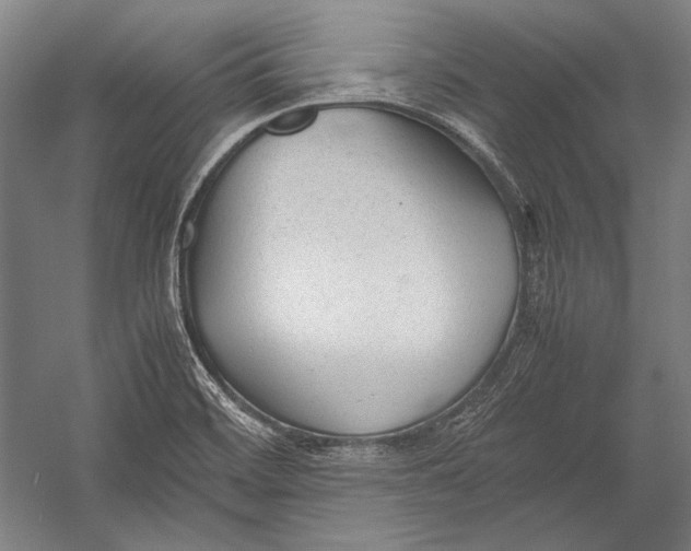 X0000052561468200507221423