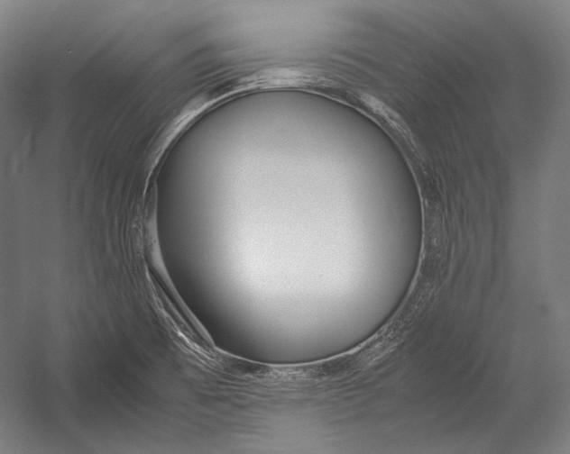 X0000052561473200507221423