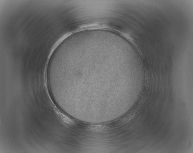 X0000052561474200507221423