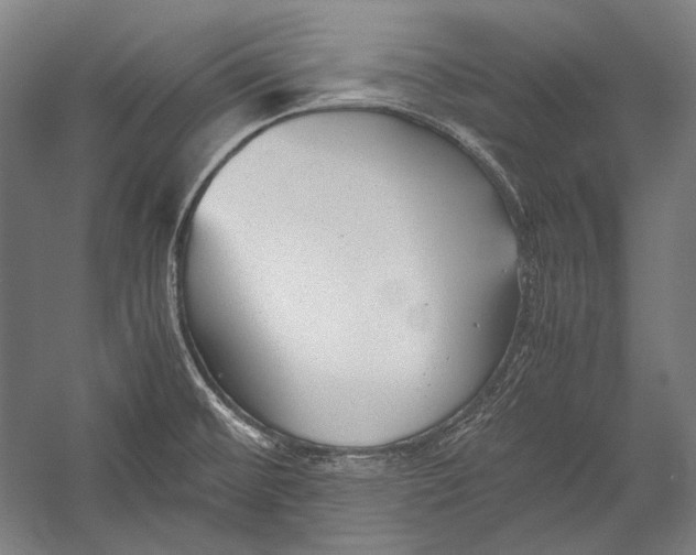 X0000052561476200507221423