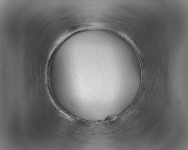 X0000052561477200507221423