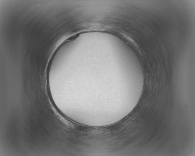 X0000052561479200507221423