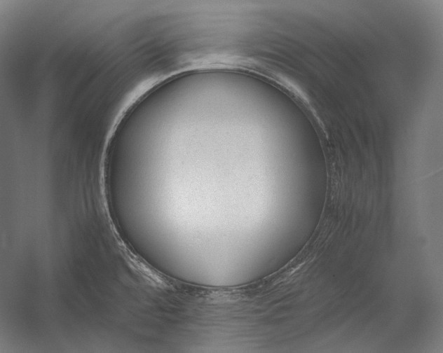 X0000052561480200507221423