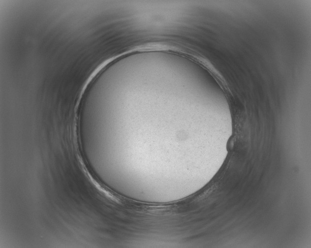 X0000052561484200507221423